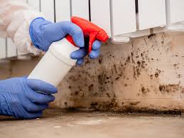 Best Indoor Air Quality Assessment  in Festus, MO